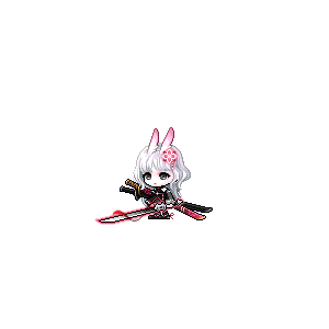 을 사용한 메이플스토리 메애기 코디