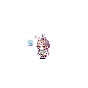 을 사용한 메이플스토리 메애기 코디