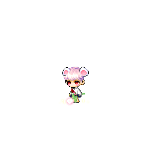 을 사용한 메이플스토리 메애기 코디