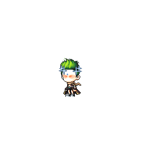 을 사용한 메이플스토리 메애기 코디