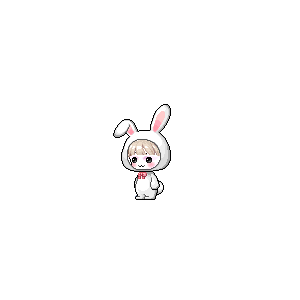 을 사용한 메이플스토리 메애기 코디