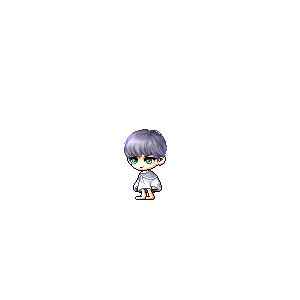 을 사용한 메이플스토리 메애기 코디