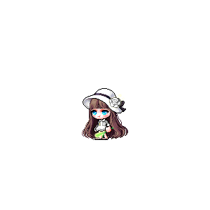 을 사용한 메이플스토리 메애기 코디