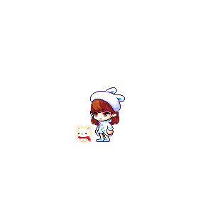 을 사용한 메이플스토리 메애기 코디