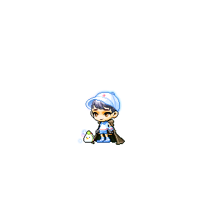 을 사용한 메이플스토리 메애기 코디