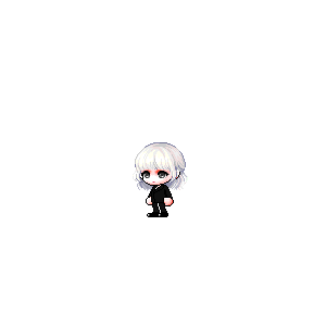 을 사용한 메이플스토리 메애기 코디