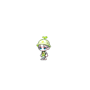 을 사용한 메이플스토리 메애기 코디
