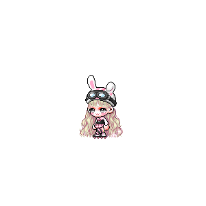 을 사용한 메이플스토리 메애기 코디
