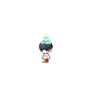 undefined을 사용한 메이플스토리 메애기 코디