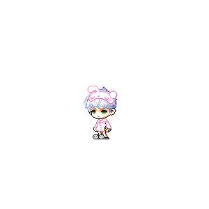 을 사용한 메이플스토리 메애기 코디