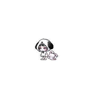 을 사용한 메이플스토리 메애기 코디