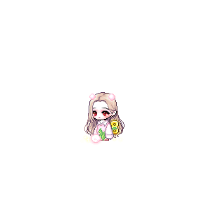 을 사용한 메이플스토리 메애기 코디