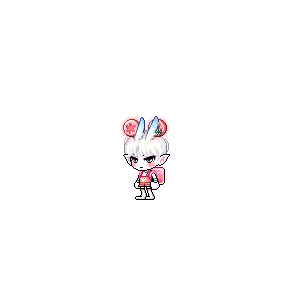 을 사용한 메이플스토리 메애기 코디