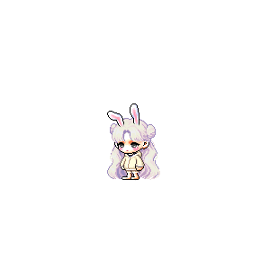 을 사용한 메이플스토리 메애기 코디