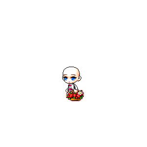 을 사용한 메이플스토리 메애기 코디