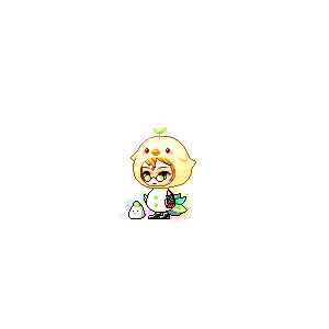 을 사용한 메이플스토리 메애기 코디