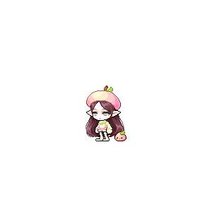 을 사용한 메이플스토리 메애기 코디