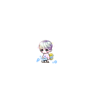 을 사용한 메이플스토리 메애기 코디