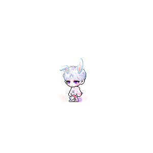 을 사용한 메이플스토리 메애기 코디
