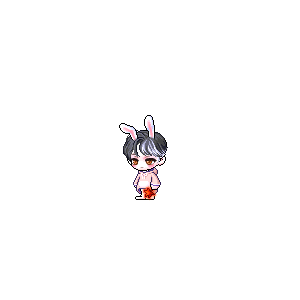 을 사용한 메이플스토리 메애기 코디