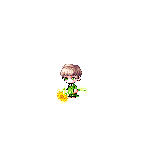을 사용한 메이플스토리 메애기 코디