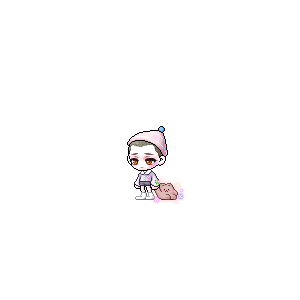 을 사용한 메이플스토리 메애기 코디
