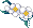 모자