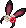 모자