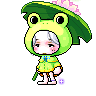 홍시