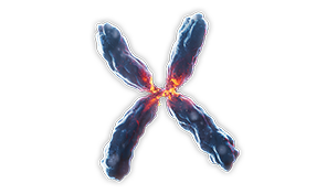 Centromere Mixture