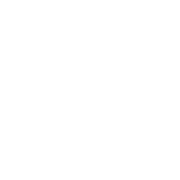 Autonomous Interception System
