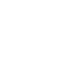 Raven Feather