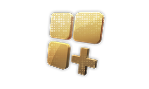 Storage Slots +4