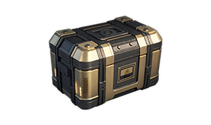 Returning Growth Support Box II
