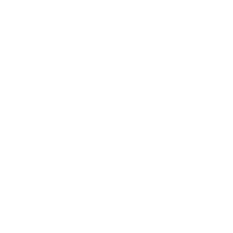 Shadow Step