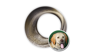 Vespers Hunting Dog Spiral Catalyst Blueprint