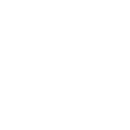 Emperor's Guard Lance