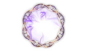 Cloned Plasmids