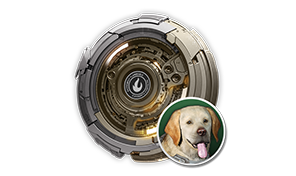Vespers Hunting Dog Stabilizer