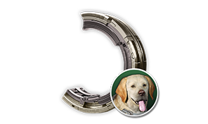 Vespers Hunting Dog Stabilizer Blueprint