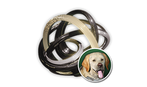 Vespers Hunting Dog Spiral Catalyst