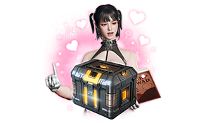 Bunny's Cleaning Service Box